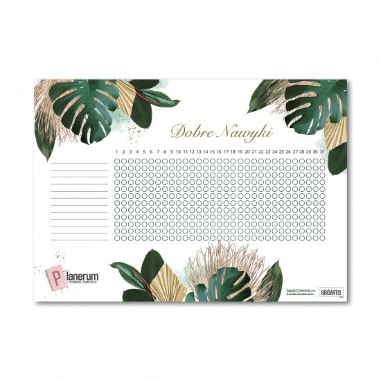 Planer Magnetyczny Dobre...